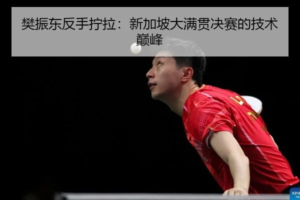 樊振东反手拧拉：新加坡大满贯决赛的技术巅峰