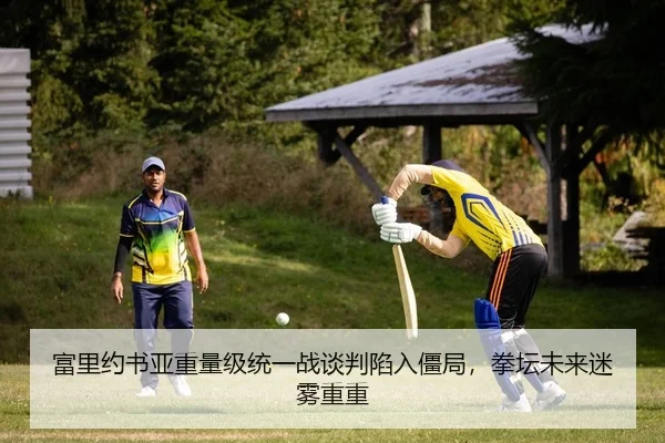富里约书亚重量级统一战谈判陷入僵局，拳坛未来迷雾重重